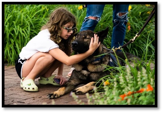 CRC Canine Tarik at Highland Park, Illinois