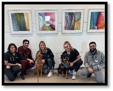 CRC Canines Axel and Lincoln bring comfort  to  a healthcare team
