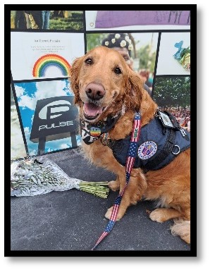 CRC Canine Macy at Pulse Nightclub Memorial